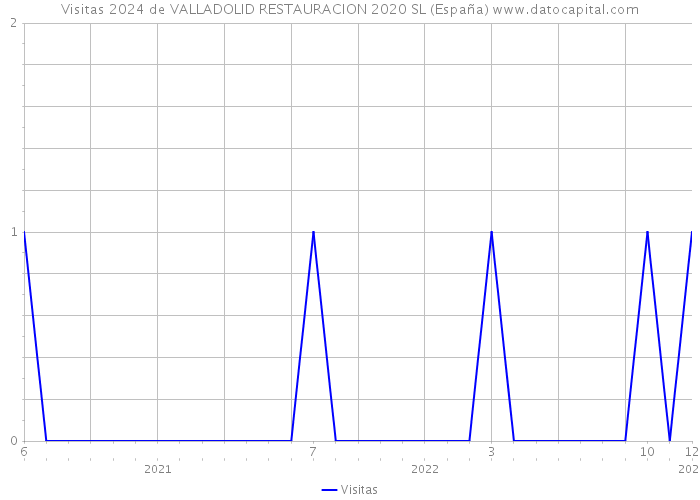 Visitas 2024 de VALLADOLID RESTAURACION 2020 SL (España) 