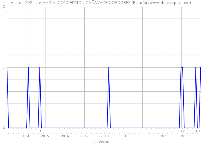 Visitas 2024 de MARIA-CONCEPCION CAÑAVATE CORDOBES (España) 