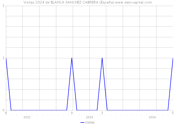 Visitas 2024 de BLANCA SANCHEZ CABRERA (España) 
