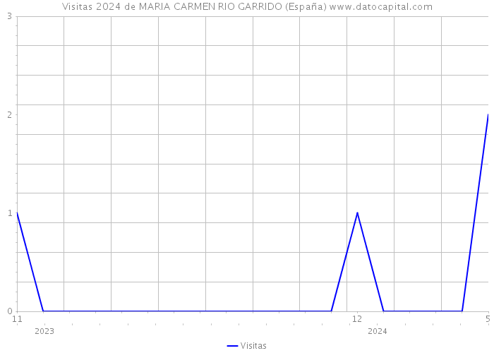 Visitas 2024 de MARIA CARMEN RIO GARRIDO (España) 