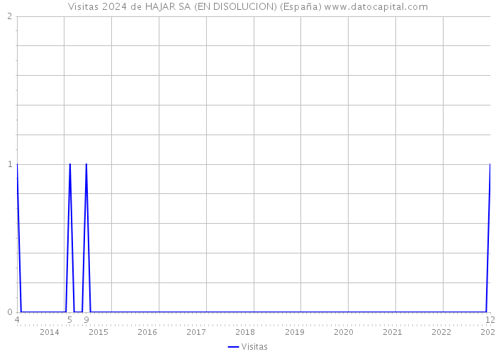 Visitas 2024 de HAJAR SA (EN DISOLUCION) (España) 