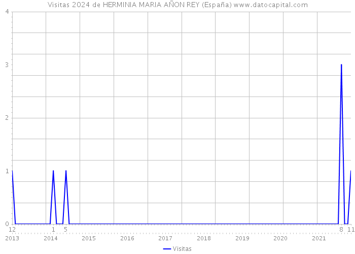 Visitas 2024 de HERMINIA MARIA AÑON REY (España) 