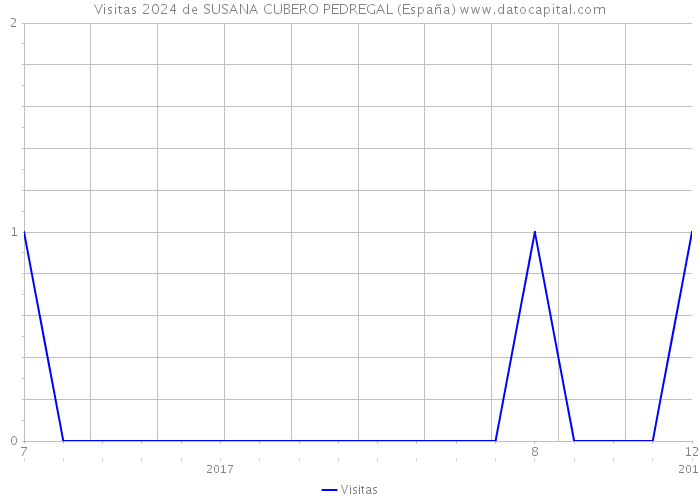 Visitas 2024 de SUSANA CUBERO PEDREGAL (España) 