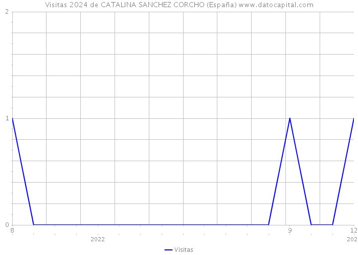 Visitas 2024 de CATALINA SANCHEZ CORCHO (España) 