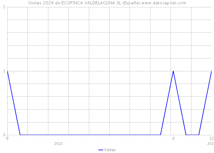 Visitas 2024 de ECOFINCA VALDELAGUNA SL (España) 