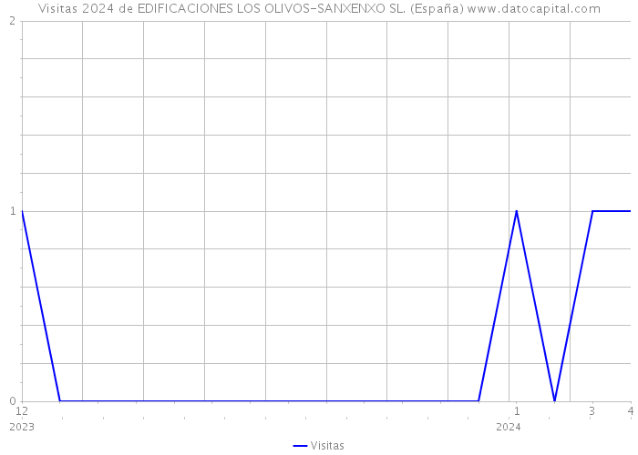 Visitas 2024 de EDIFICACIONES LOS OLIVOS-SANXENXO SL. (España) 