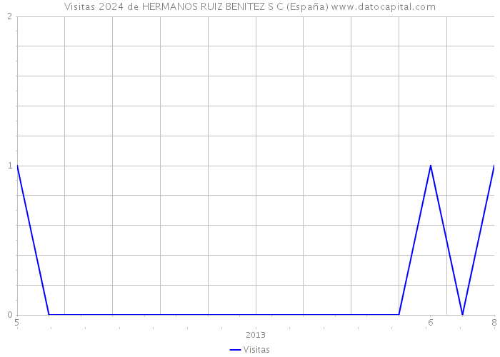 Visitas 2024 de HERMANOS RUIZ BENITEZ S C (España) 