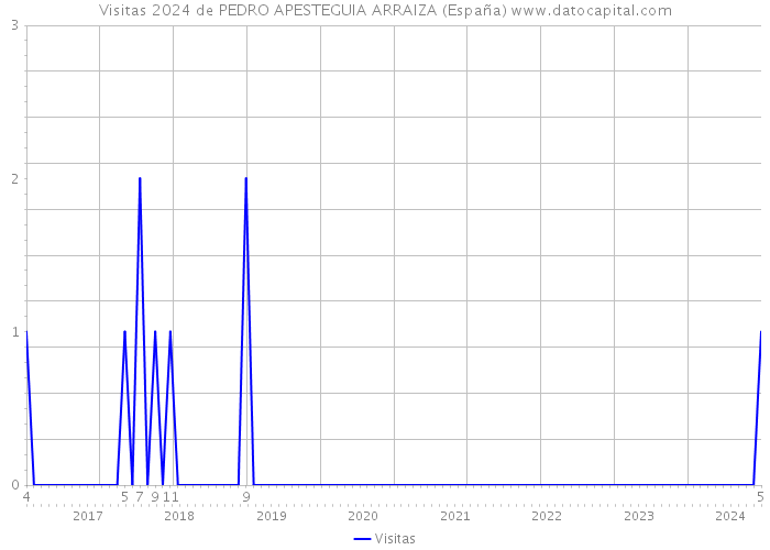 Visitas 2024 de PEDRO APESTEGUIA ARRAIZA (España) 