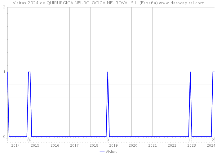 Visitas 2024 de QUIRURGICA NEUROLOGICA NEUROVAL S.L. (España) 
