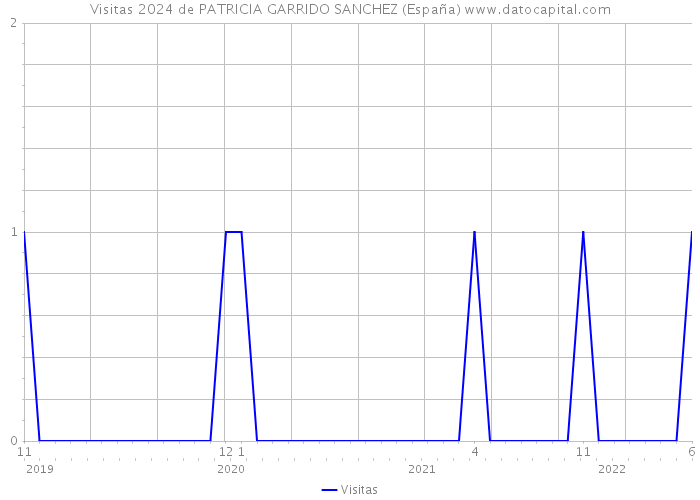 Visitas 2024 de PATRICIA GARRIDO SANCHEZ (España) 