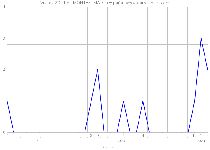 Visitas 2024 de MONTEZUMA SL (España) 