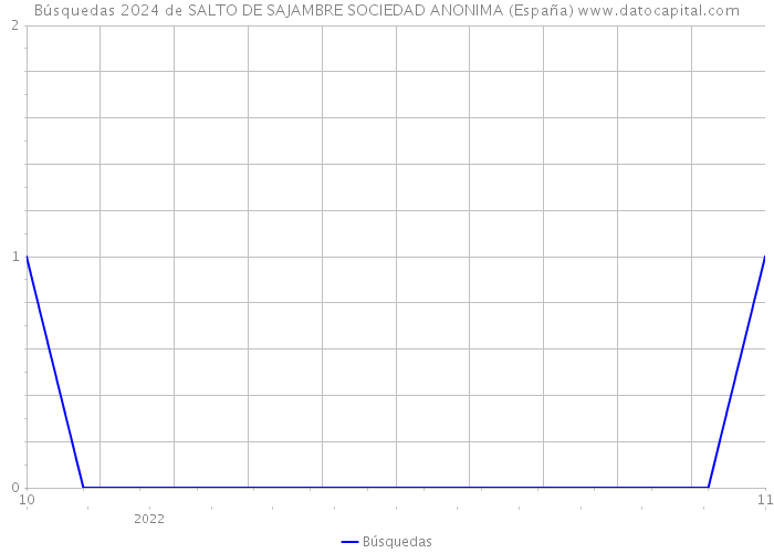 Búsquedas 2024 de SALTO DE SAJAMBRE SOCIEDAD ANONIMA (España) 