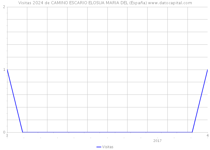 Visitas 2024 de CAMINO ESCARIO ELOSUA MARIA DEL (España) 