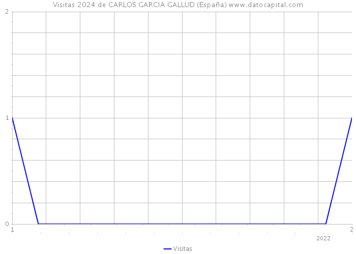 Visitas 2024 de CARLOS GARCIA GALLUD (España) 