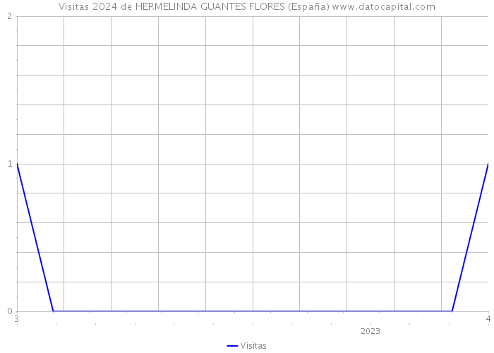 Visitas 2024 de HERMELINDA GUANTES FLORES (España) 
