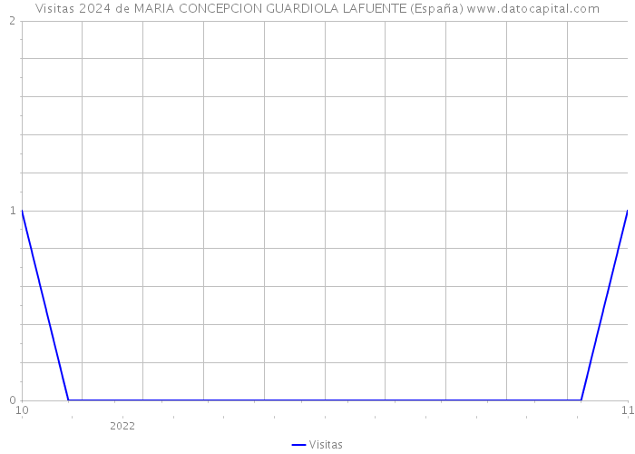 Visitas 2024 de MARIA CONCEPCION GUARDIOLA LAFUENTE (España) 