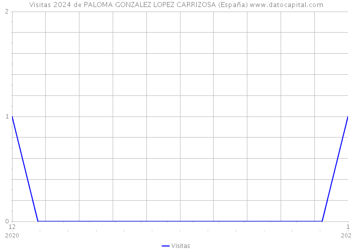 Visitas 2024 de PALOMA GONZALEZ LOPEZ CARRIZOSA (España) 