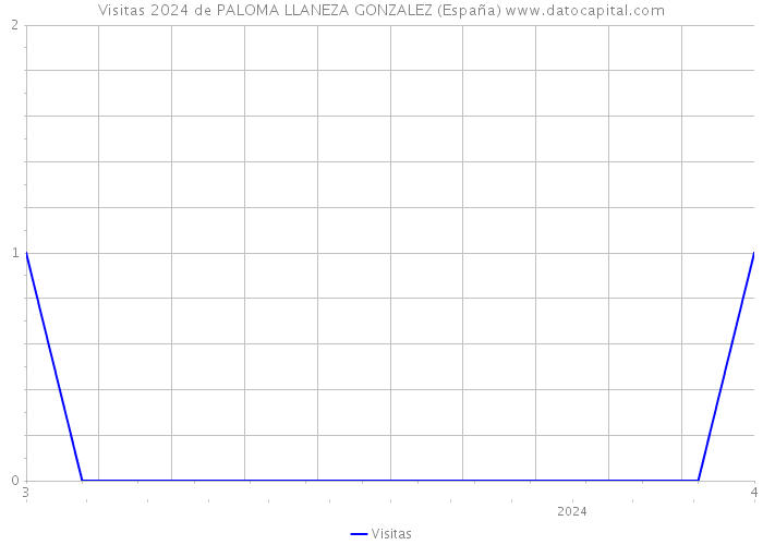 Visitas 2024 de PALOMA LLANEZA GONZALEZ (España) 