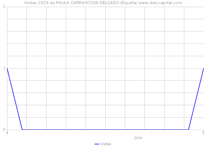 Visitas 2024 de PAULA CARRASCOSA DELGADO (España) 