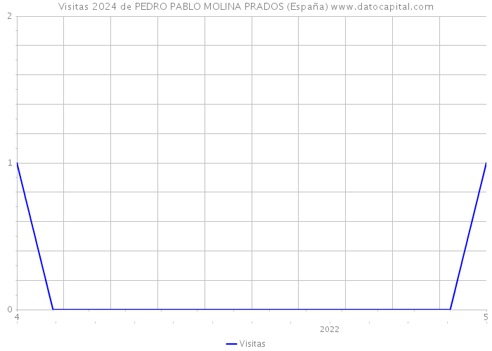 Visitas 2024 de PEDRO PABLO MOLINA PRADOS (España) 