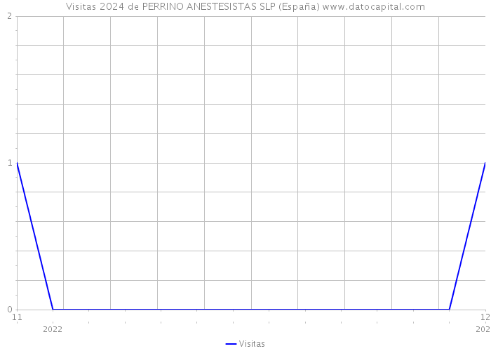 Visitas 2024 de PERRINO ANESTESISTAS SLP (España) 