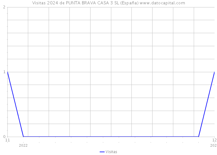 Visitas 2024 de PUNTA BRAVA CASA 3 SL (España) 