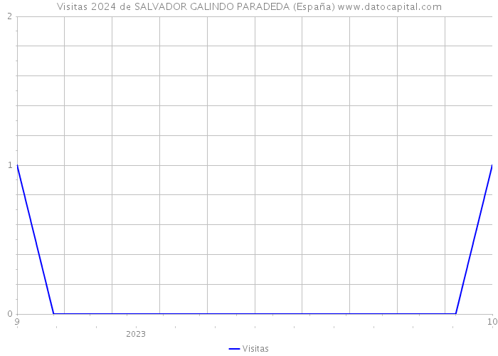 Visitas 2024 de SALVADOR GALINDO PARADEDA (España) 