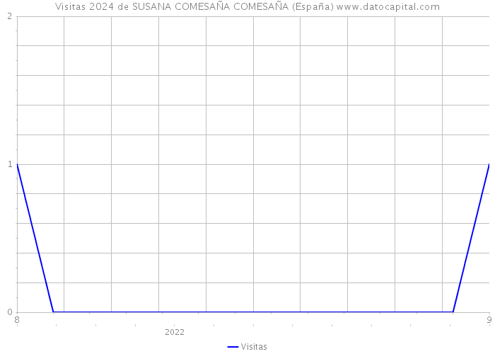 Visitas 2024 de SUSANA COMESAÑA COMESAÑA (España) 