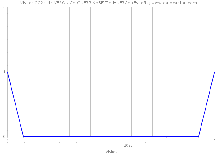 Visitas 2024 de VERONICA GUERRIKABEITIA HUERGA (España) 