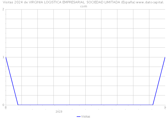Visitas 2024 de VIRGINIA LOGISTICA EMPRESARIAL SOCIEDAD LIMITADA (España) 