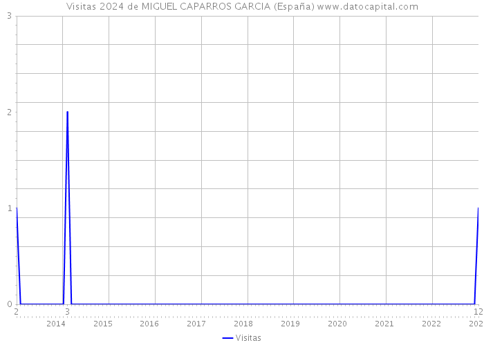 Visitas 2024 de MIGUEL CAPARROS GARCIA (España) 