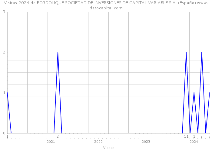 Visitas 2024 de BORDOLIQUE SOCIEDAD DE INVERSIONES DE CAPITAL VARIABLE S.A. (España) 