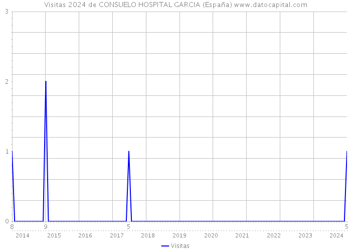 Visitas 2024 de CONSUELO HOSPITAL GARCIA (España) 