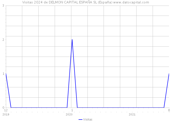Visitas 2024 de DELMON CAPITAL ESPAÑA SL (España) 