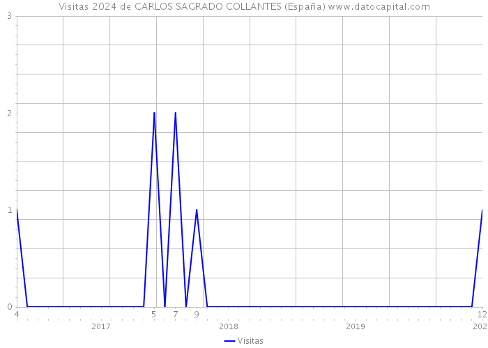 Visitas 2024 de CARLOS SAGRADO COLLANTES (España) 