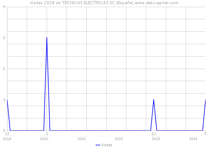 Visitas 2024 de TECNICAS ELECTRICAS SC (España) 