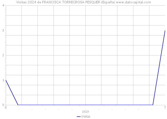Visitas 2024 de FRANCISCA TORREGROSA PESQUER (España) 