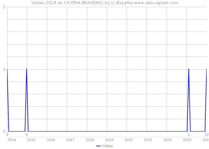 Visitas 2024 de CAYENA BRANDING S.L.U (España) 