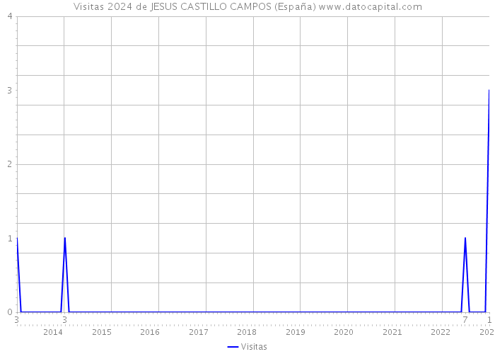 Visitas 2024 de JESUS CASTILLO CAMPOS (España) 