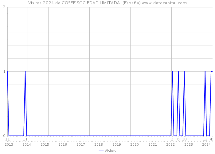 Visitas 2024 de COSFE SOCIEDAD LIMITADA. (España) 
