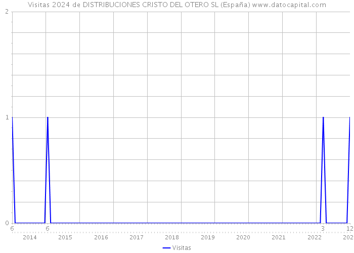 Visitas 2024 de DISTRIBUCIONES CRISTO DEL OTERO SL (España) 