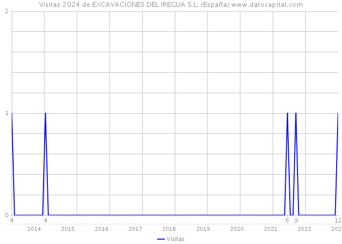 Visitas 2024 de EXCAVACIONES DEL IREGUA S.L. (España) 