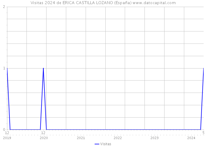 Visitas 2024 de ERICA CASTILLA LOZANO (España) 