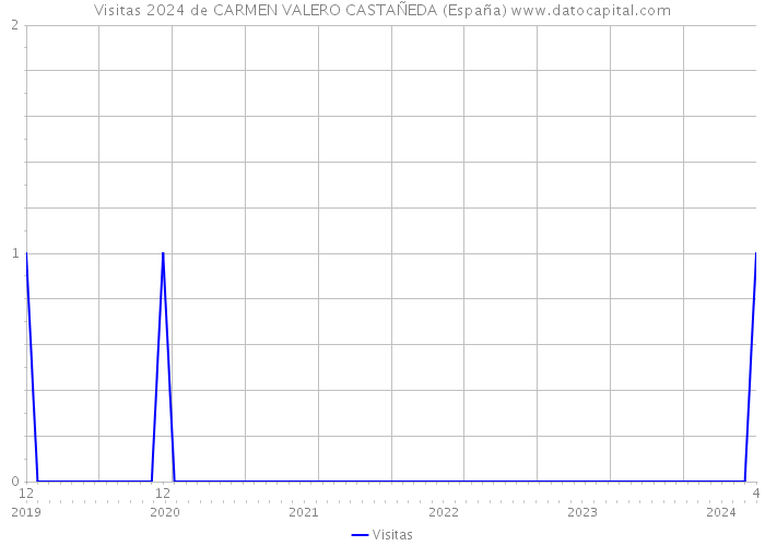 Visitas 2024 de CARMEN VALERO CASTAÑEDA (España) 