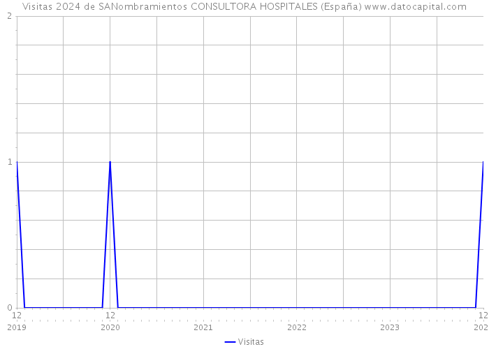 Visitas 2024 de SANombramientos CONSULTORA HOSPITALES (España) 