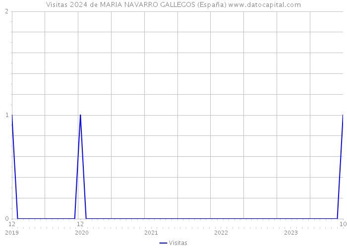 Visitas 2024 de MARIA NAVARRO GALLEGOS (España) 
