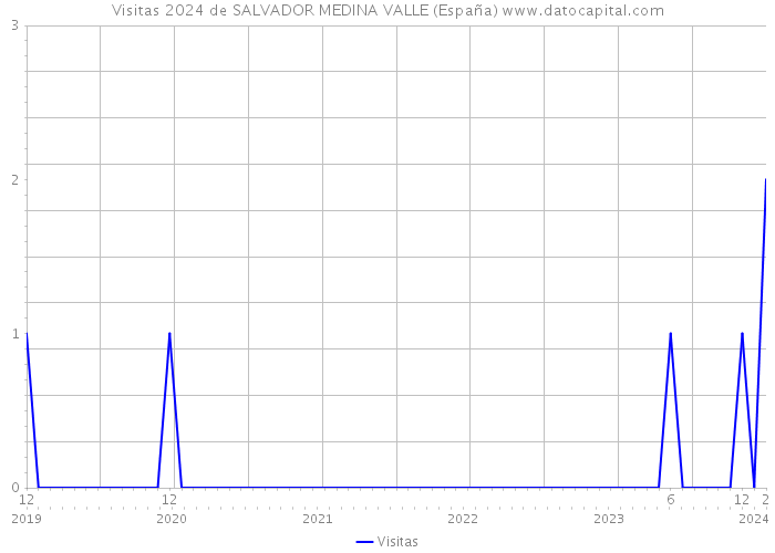 Visitas 2024 de SALVADOR MEDINA VALLE (España) 