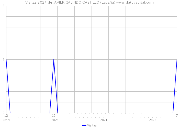 Visitas 2024 de JAVIER GALINDO CASTILLO (España) 