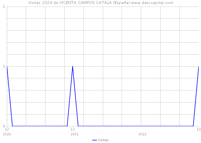 Visitas 2024 de VICENTA CAMPOS CATALA (España) 