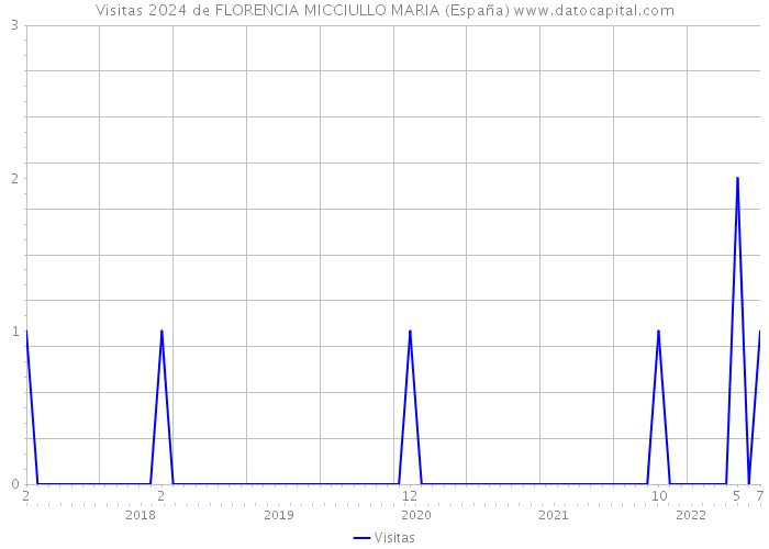 Visitas 2024 de FLORENCIA MICCIULLO MARIA (España) 